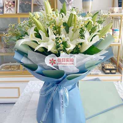 南充8支白色多头百合洋甘菊，互倾的思念